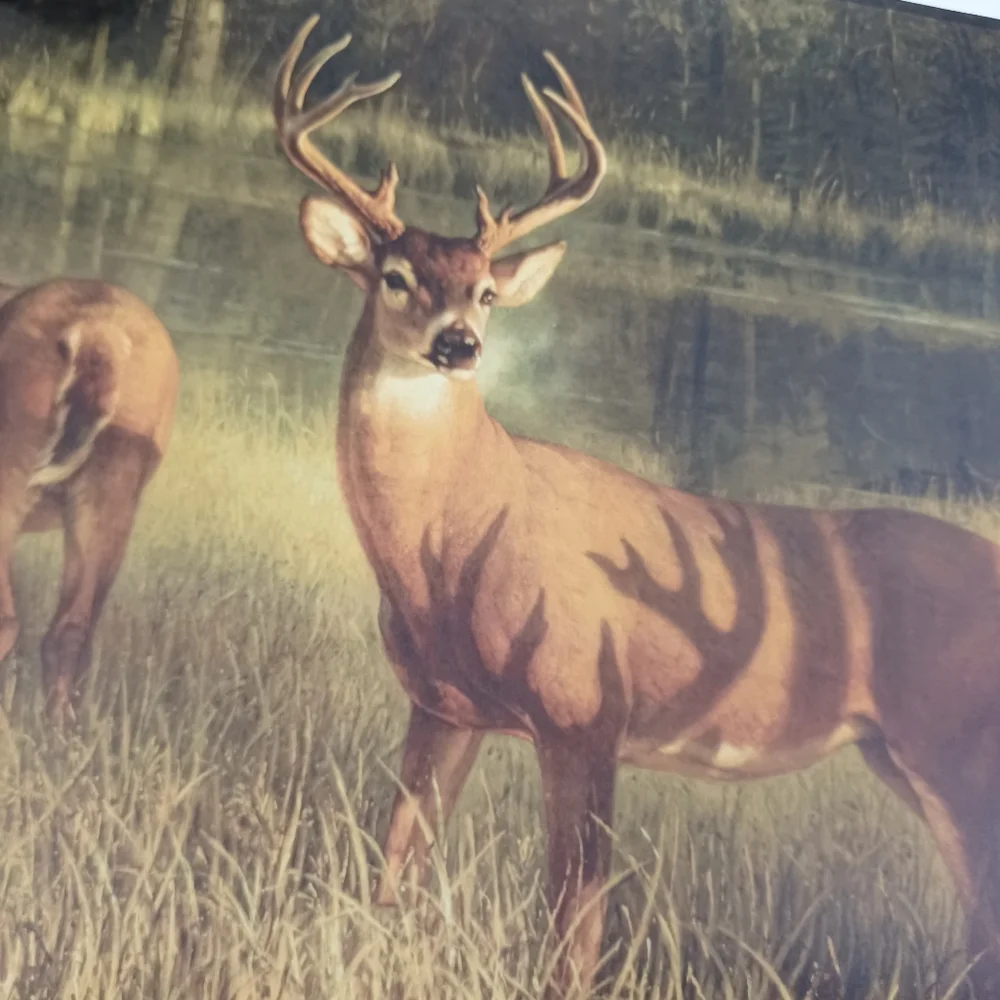 Wallpaper Whitetail Buck by Lake